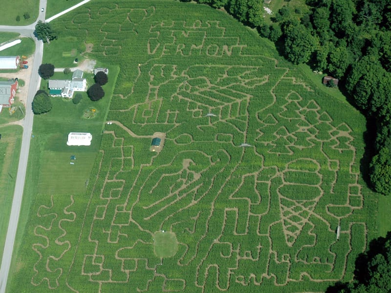 Hathaway Farm & Corn Maize