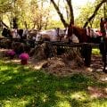 horses4hire.com