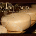 Taylor Farm