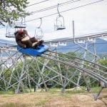 Beast Mountain Coaster Killington VT